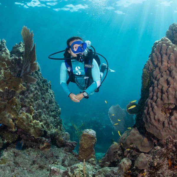 Scubapro Aladin A1 Dive Computer 入門級藍牙電腦錶