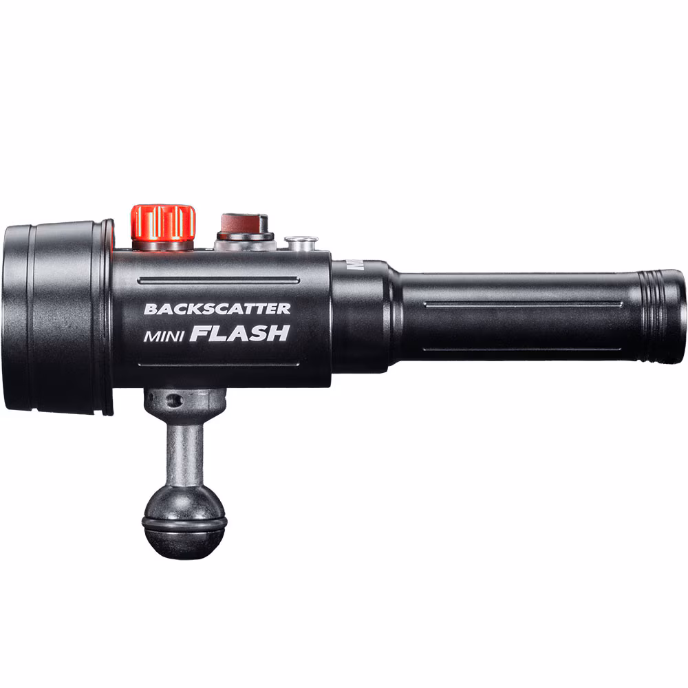 Backscatter Strobe MF-3 and Combo Package