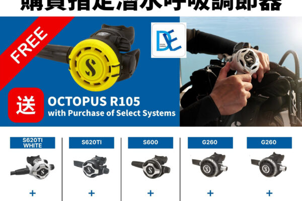 DE Online Shop
